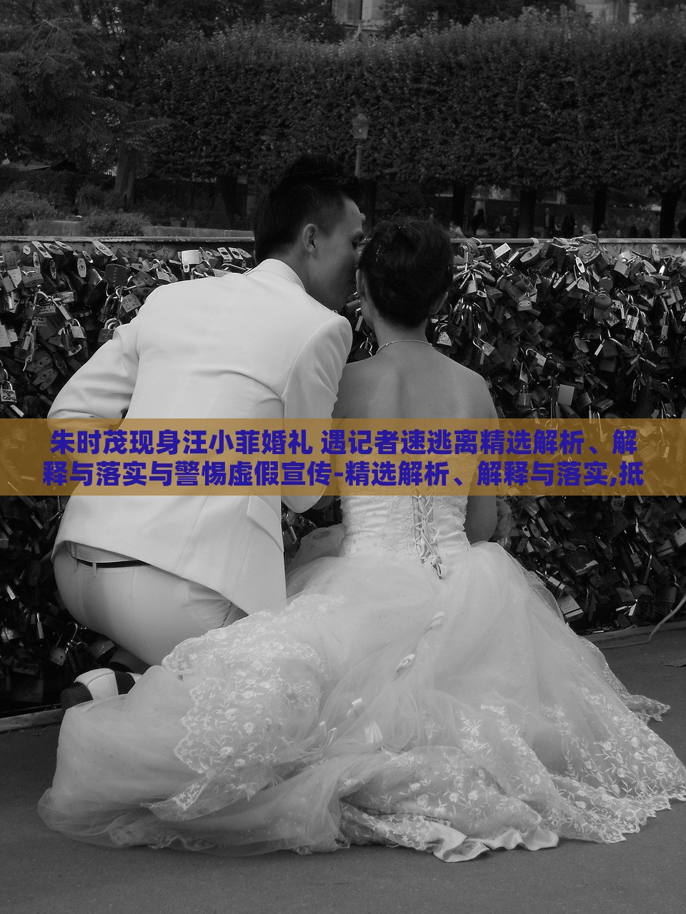 朱時(shí)茂現(xiàn)身汪小菲婚禮 遇記者速逃離精選解析、解釋與落實(shí)與警惕虛假宣傳-精選解析、解釋與落實(shí),抵制欺騙的伎倆