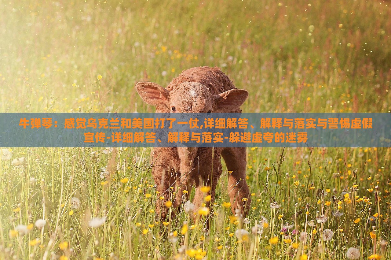 牛彈琴：感覺(jué)烏克蘭和美國(guó)打了一仗,詳細(xì)解答、解釋與落實(shí)與警惕虛假宣傳-詳細(xì)解答、解釋與落實(shí)-躲避虛夸的迷霧