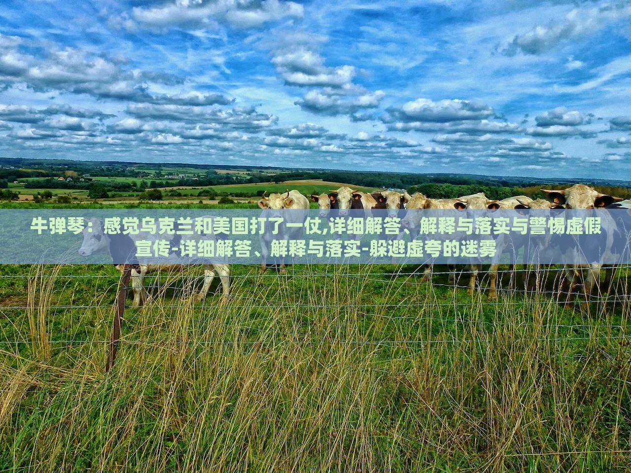牛彈琴：感覺(jué)烏克蘭和美國(guó)打了一仗,詳細(xì)解答、解釋與落實(shí)與警惕虛假宣傳-詳細(xì)解答、解釋與落實(shí)-躲避虛夸的迷霧