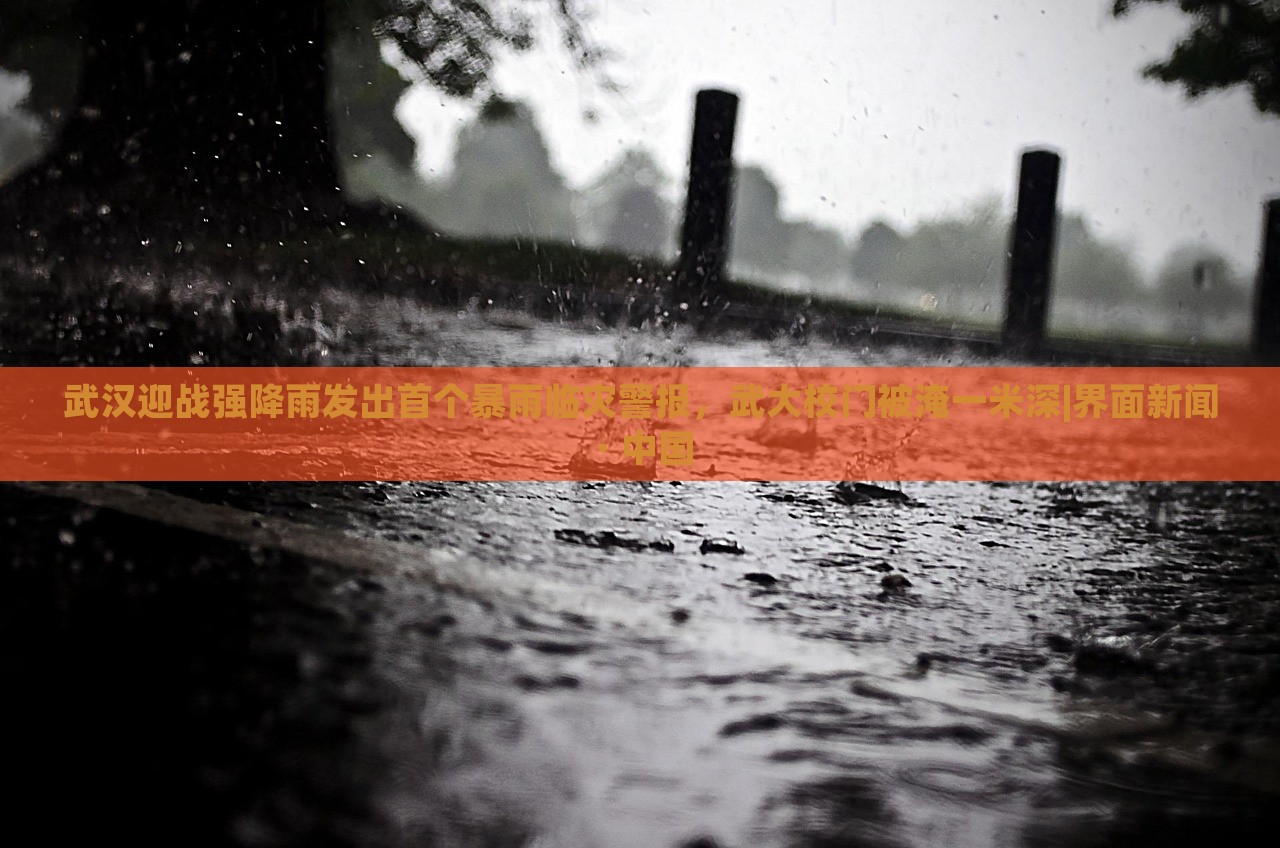 武漢迎戰(zhàn)強(qiáng)降雨發(fā)出首個(gè)暴雨臨災(zāi)警報(bào)，武大校門被淹一米深|界面新聞 · 中國(guó)