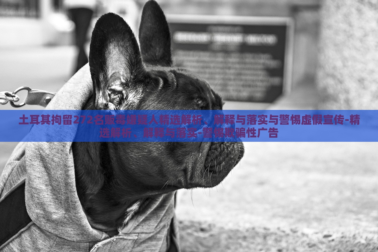 土耳其拘留272名販毒嫌疑人精選解析、解釋與落實(shí)與警惕虛假宣傳-精選解析、解釋與落實(shí)-警惕欺騙性廣告